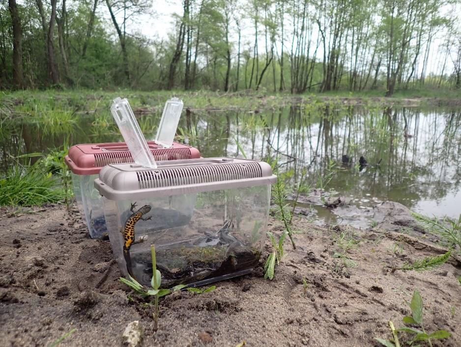 548201386 1193386629488672 1330550515347657197 n