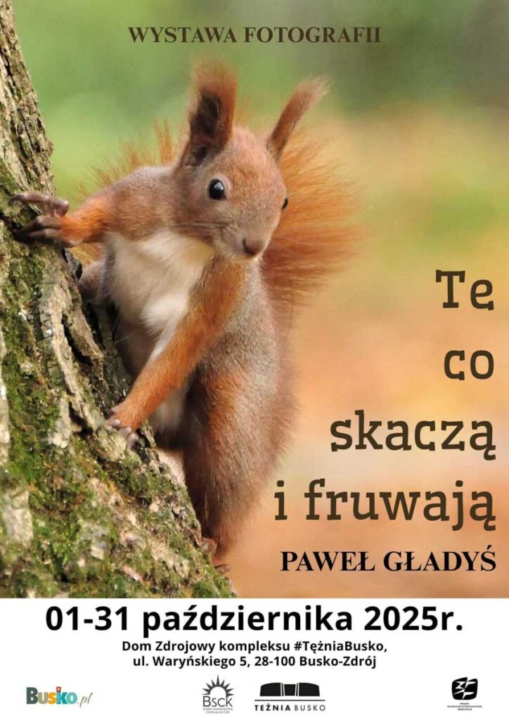 wystawa pawła gładysia w busku-zdroju