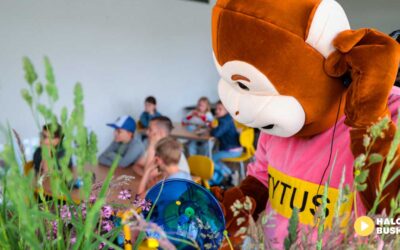 Bilet do Parku Edukacyjnego „Akademia Bajki” w Centrum Bajki w Pacanowie za złotówkę!