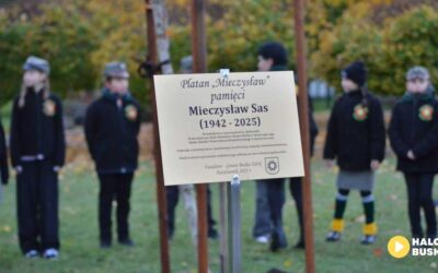 Platan pamięci dla śp. Mieczysława Sasa już rośnie w buskim parku. (ZDJĘCIA)