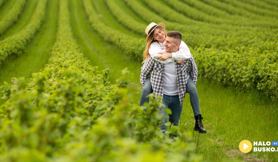 Biuro Ubezpieczeń Monika Rogala z Buska-Zdroju zaprasza rolników – ruszyła sprzedaż dotowanych ubezpieczeń upraw.