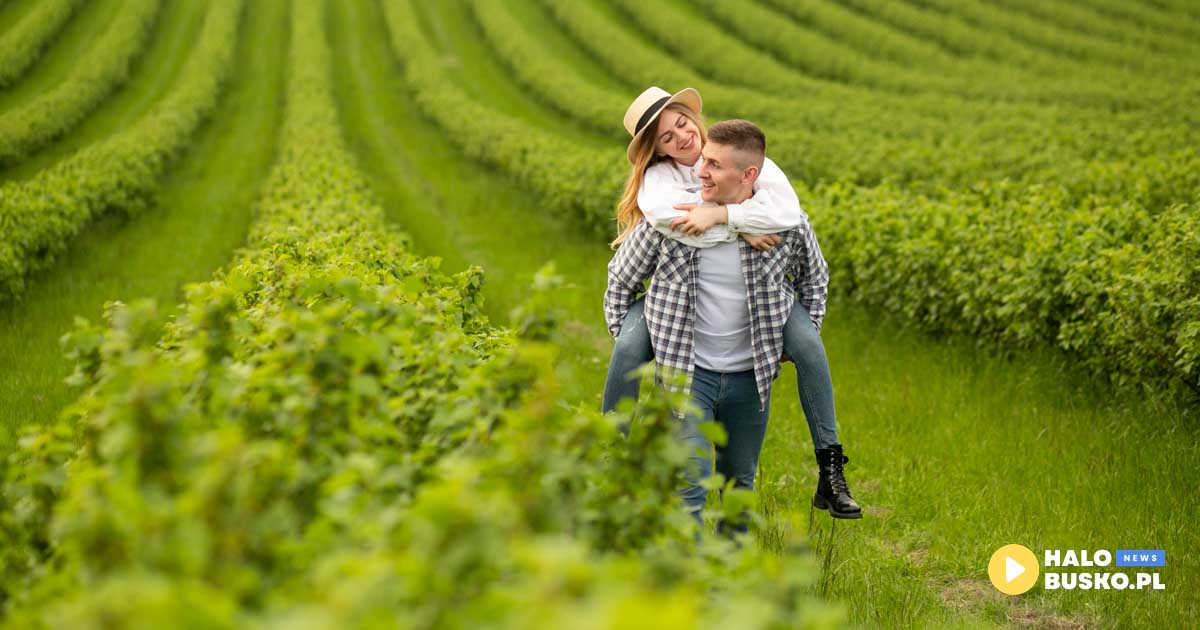 ubezpieczenie upraw - monika rogala busko-zdrój