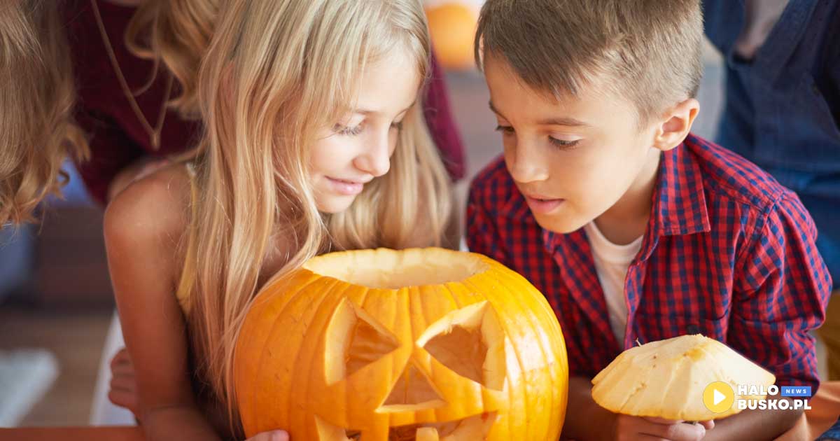 warsztaty dyniowe w busku-zdroju bsck