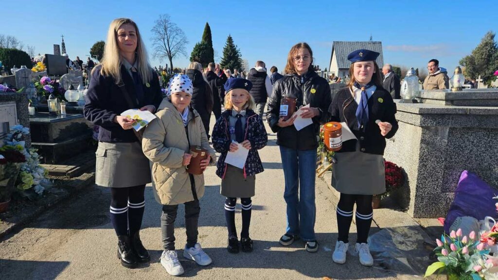 kwesta w busku zdroju 2