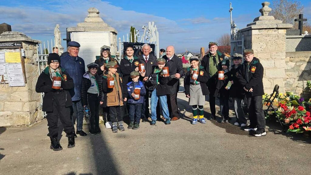 kwesta w busku-zdroju