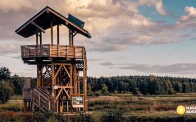 Wieża widokowa w Umianowicach – stąd widać niezwykłą panoramę Ponidzia.