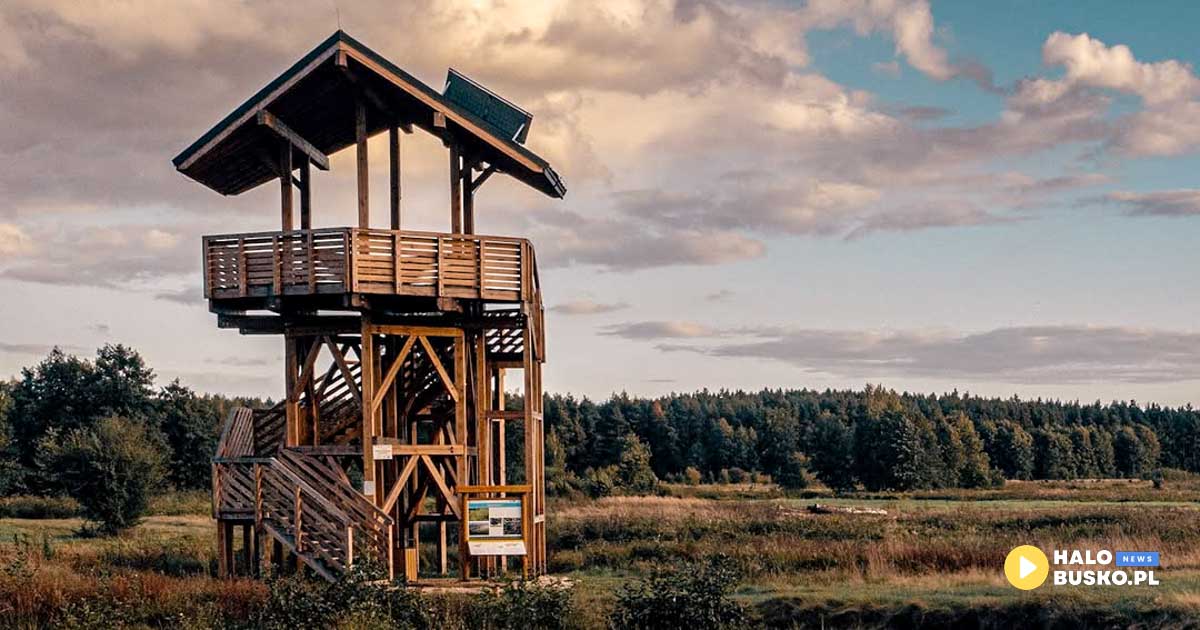 wieża widokowa w umianowicach