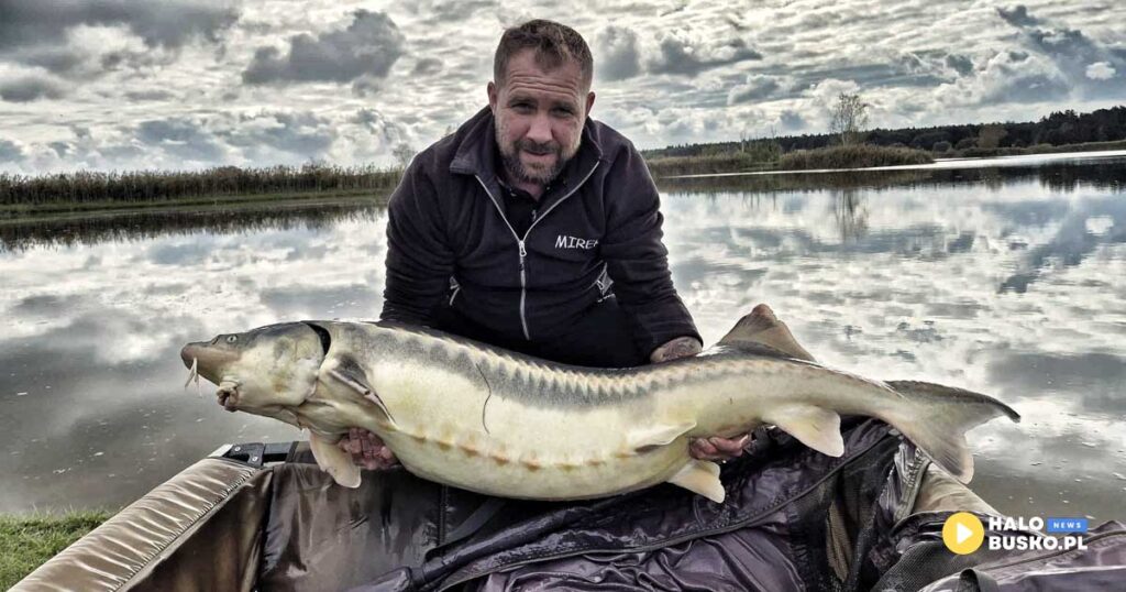 zapisy na sezon 2026 na lowisku big fish lake w bosowicach