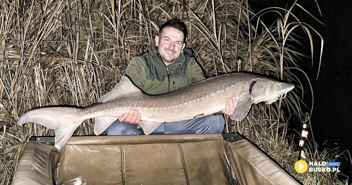łowisko big fish lake bosowice