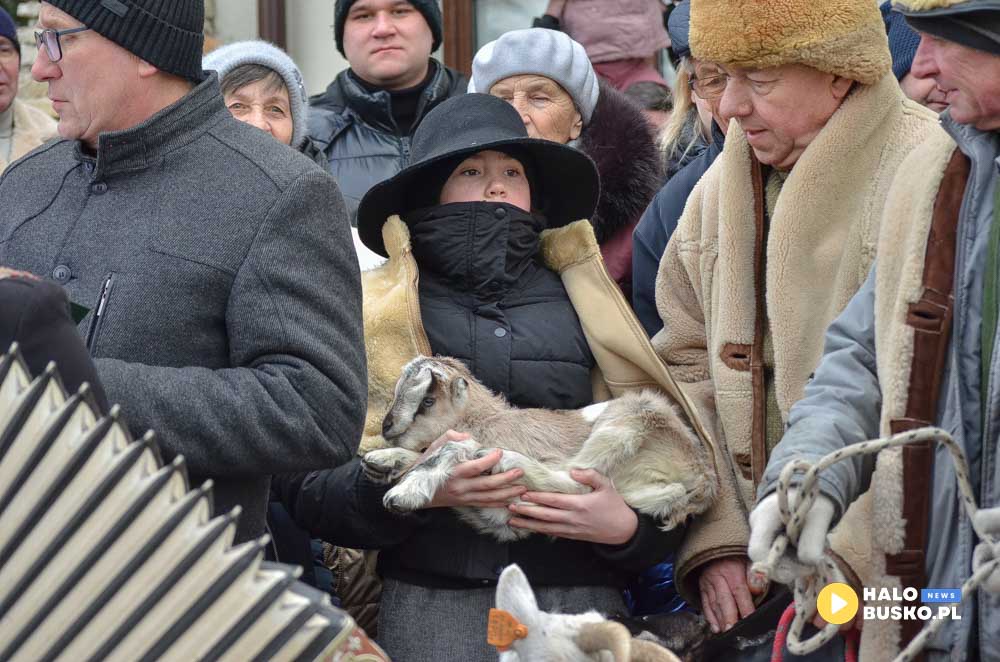 orszak trzech kroli w szancu 2026 42