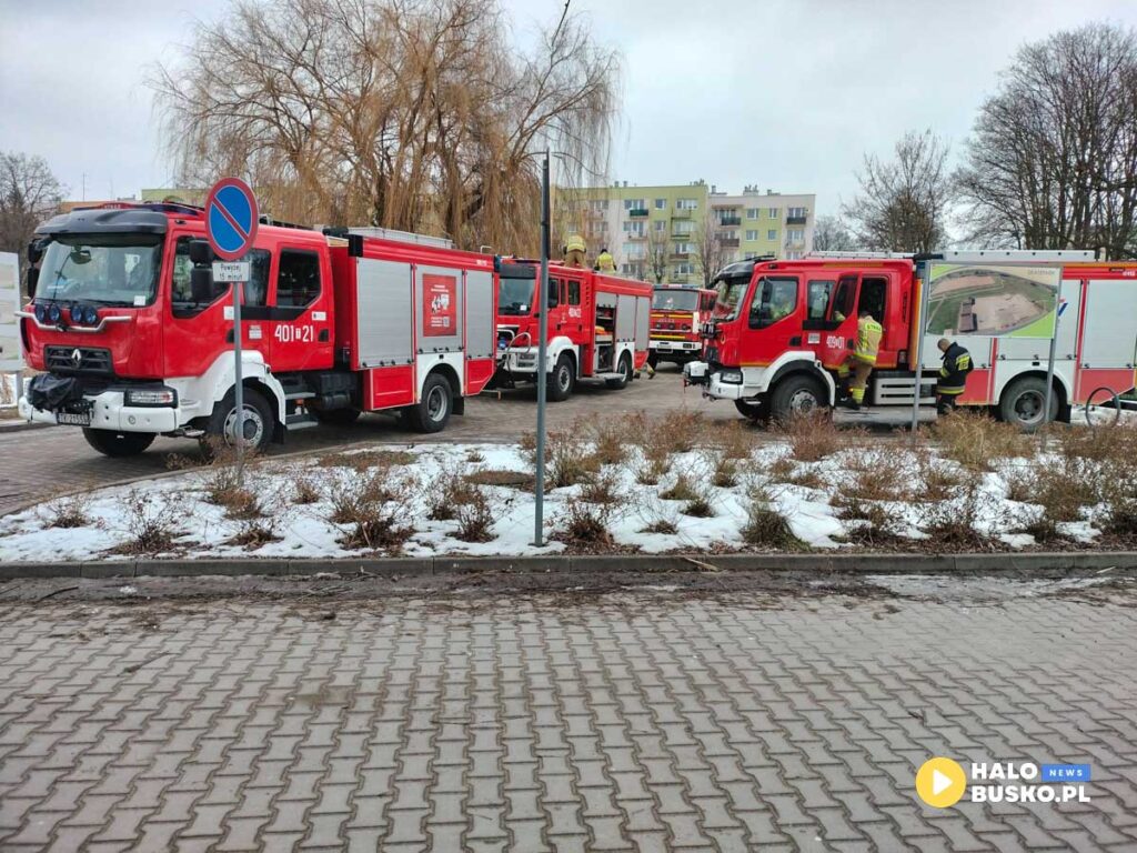 Cwiczenia z ratownictwa lodowego nad „Stawem Niemieckim w Busku Zdroju 3