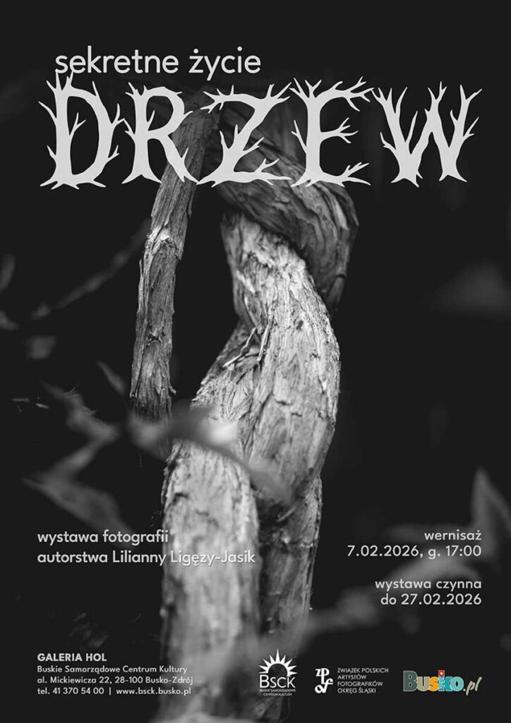 sekretne życie drzew w busku-zdroju