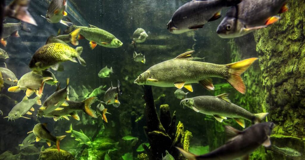 zsp osrodek edukacji przyrodniczej umianowice