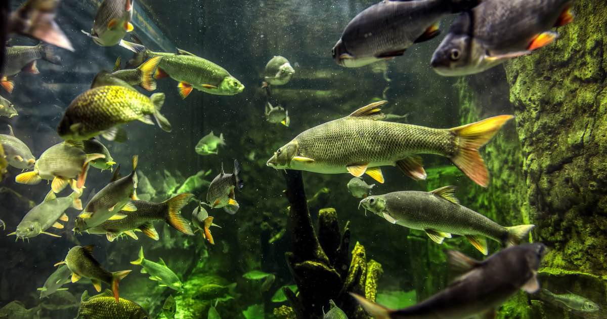 ośrodek edukacji przyrodniczej umianowice