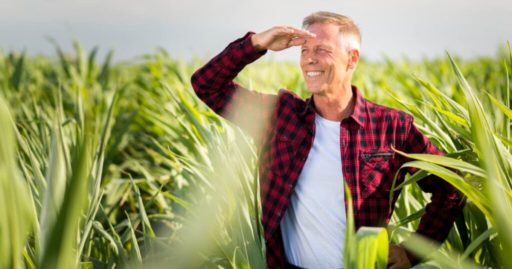 ubezpieczenie upraw w busku zdroju