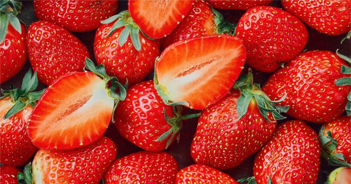 truskawki w warzywniaku lobo w busku-zdroju