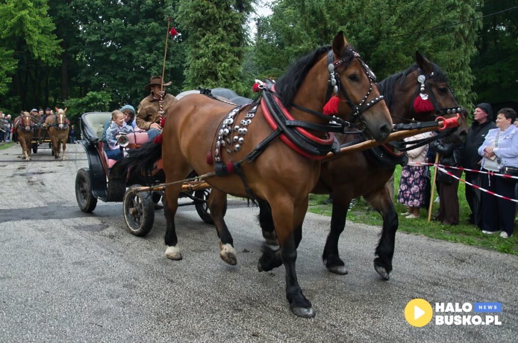 nadnidziańska parada karet IV Nadnidzianska Parada Karet i Zaprzegow Konnych w Chrobrzu 10