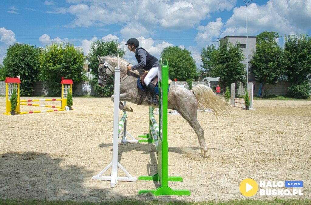 XVII Sportowe Mistrzostwa Polski i Mistrzostwa Europy Koni Czystej Krwi Arabskiej w Michalowie.11