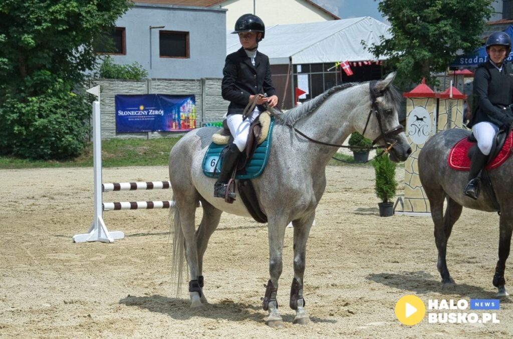 XVII Sportowe Mistrzostwa Polski i Mistrzostwa Europy Koni Czystej Krwi Arabskiej w Michalowie.15