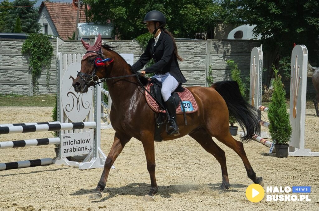 XVII Sportowe Mistrzostwa Polski i Mistrzostwa Europy Koni Czystej Krwi Arabskiej w Michalowie.17