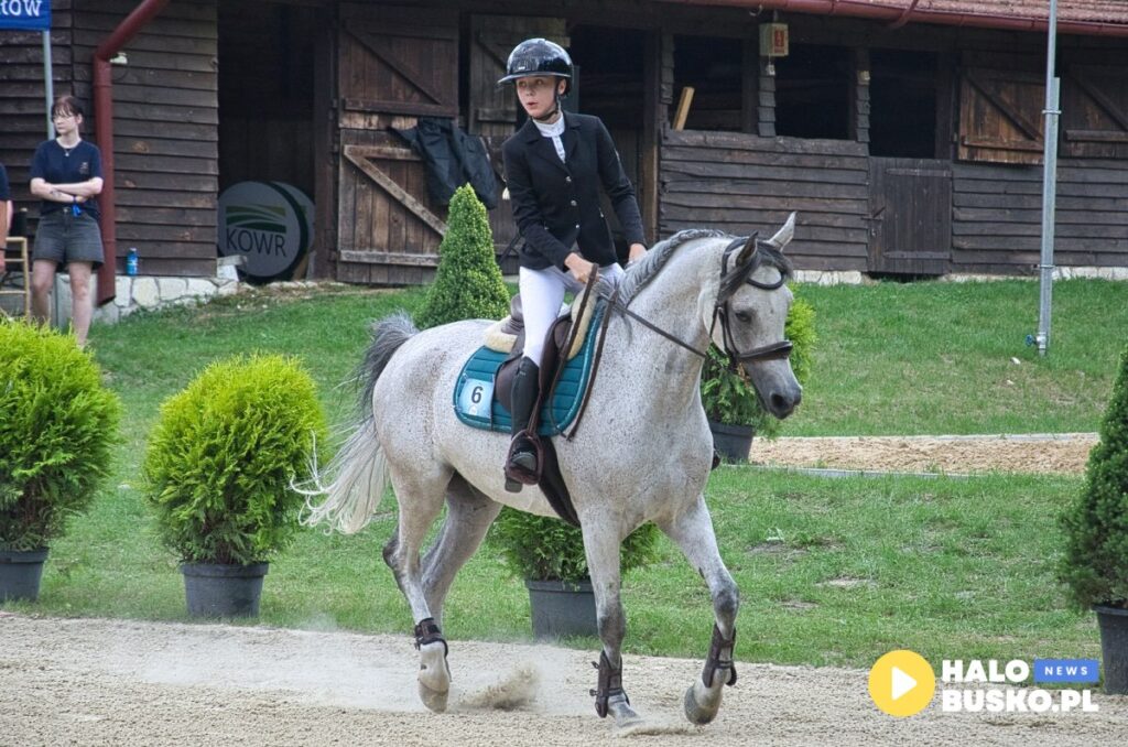 XVII Sportowe Mistrzostwa Polski i Mistrzostwa Europy Koni Czystej Krwi Arabskiej w Michalowie.22