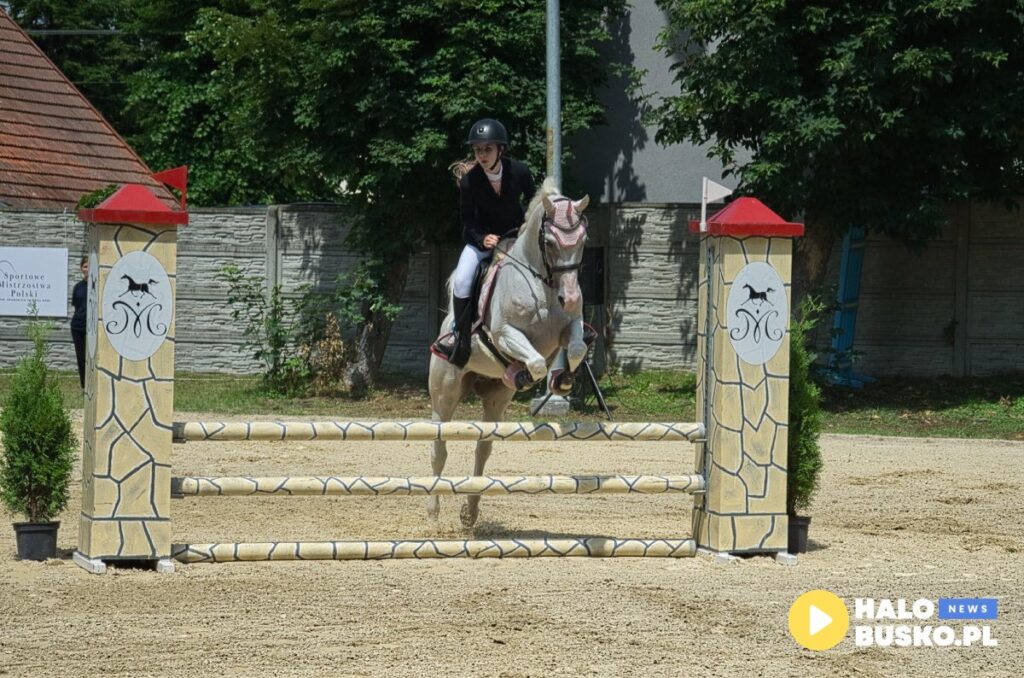 XVII Sportowe Mistrzostwa Polski i Mistrzostwa Europy Koni Czystej Krwi Arabskiej w Michalowie.8