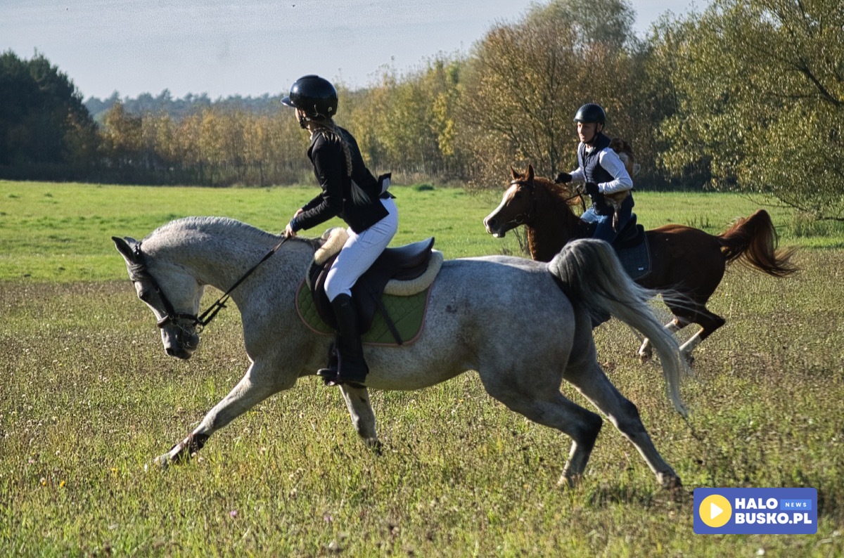 hubertus w ksanach 20 1