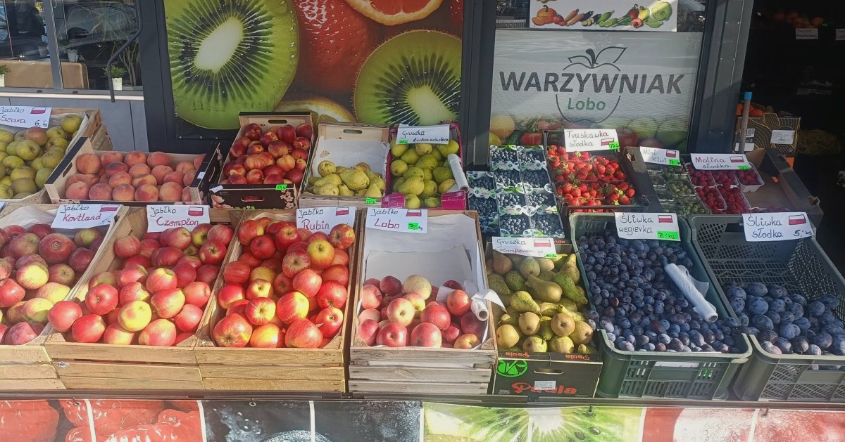 warzywniak lobo busko-zdrój
